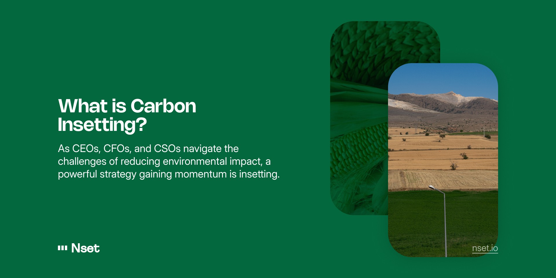 What is Carbon Insetting