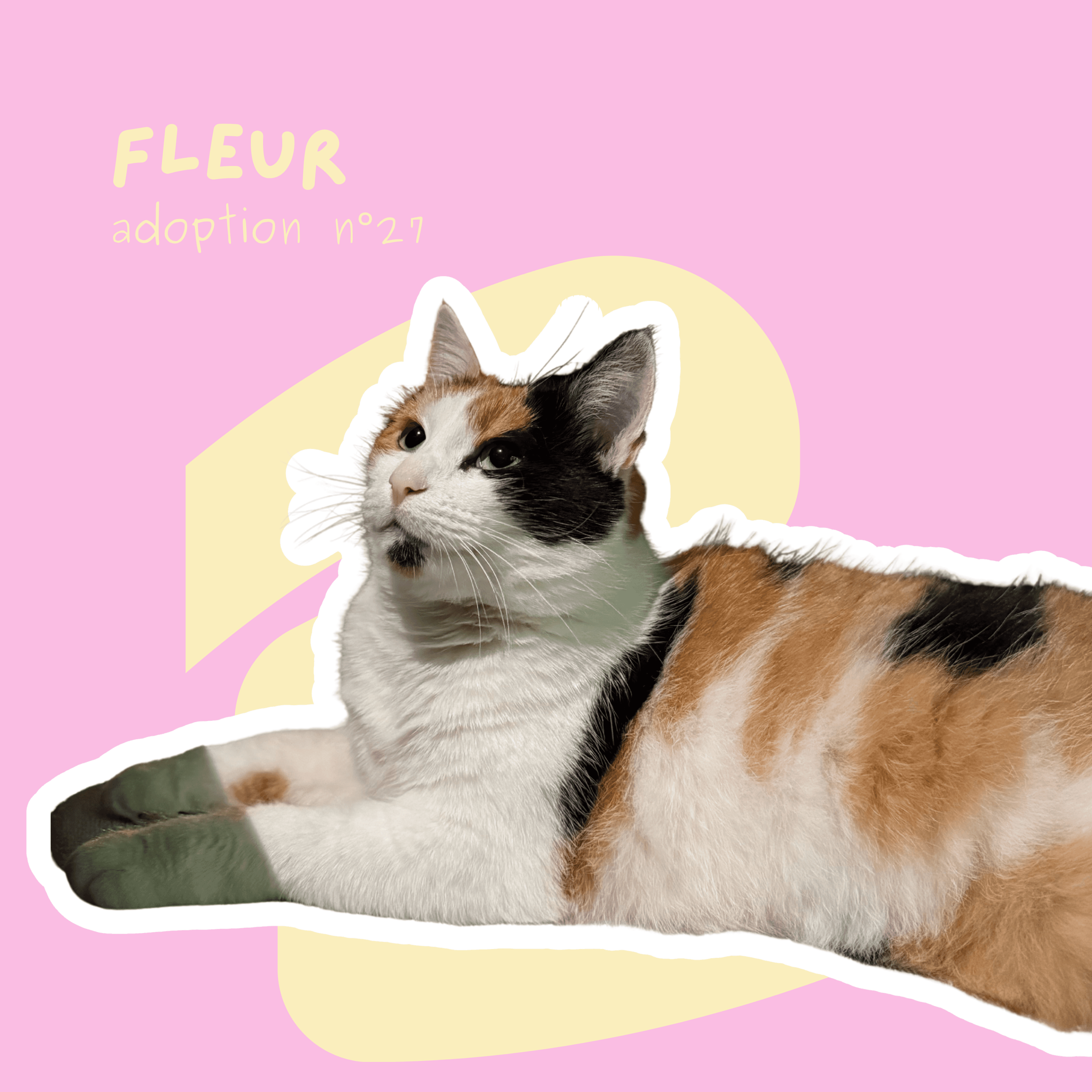 chat-fleur