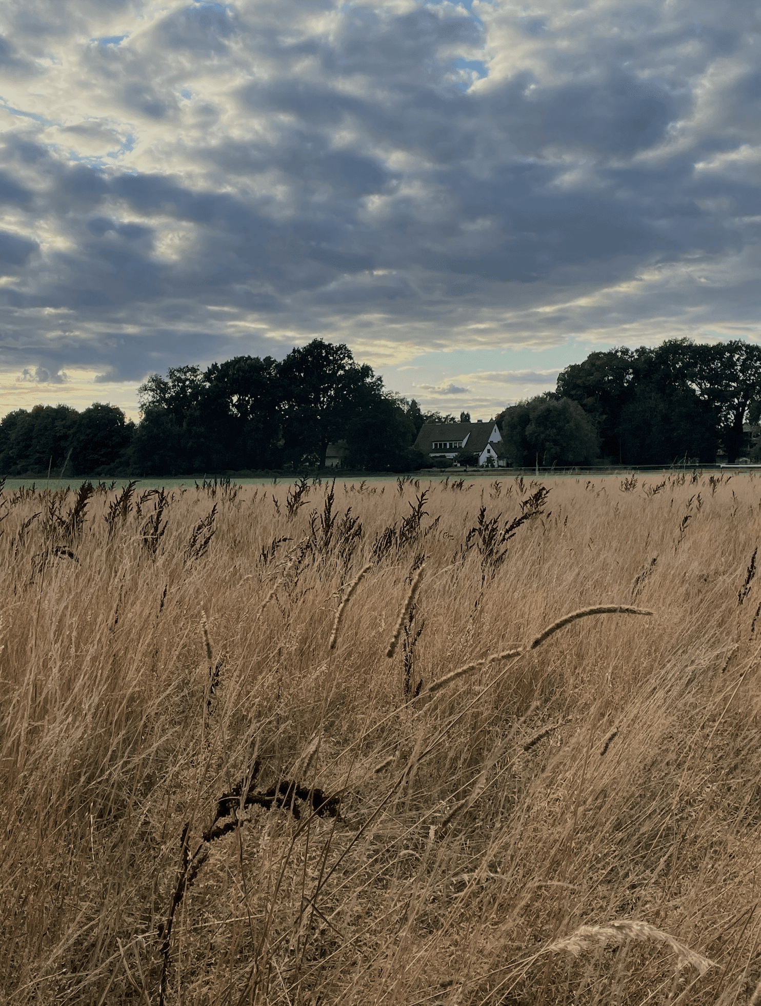 a person standing in front of a building