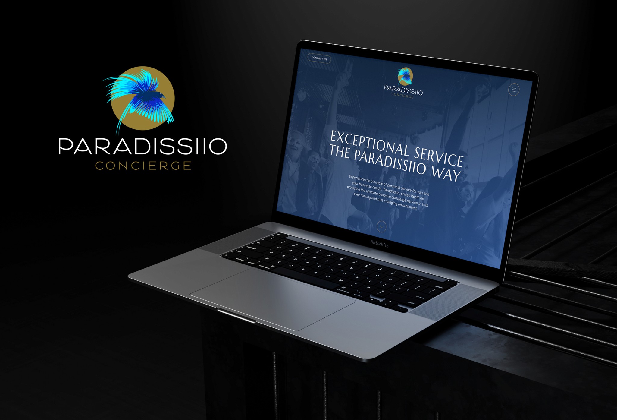 Paraddissiio Website Design