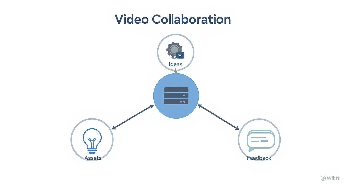 Infographic about video collaboration software