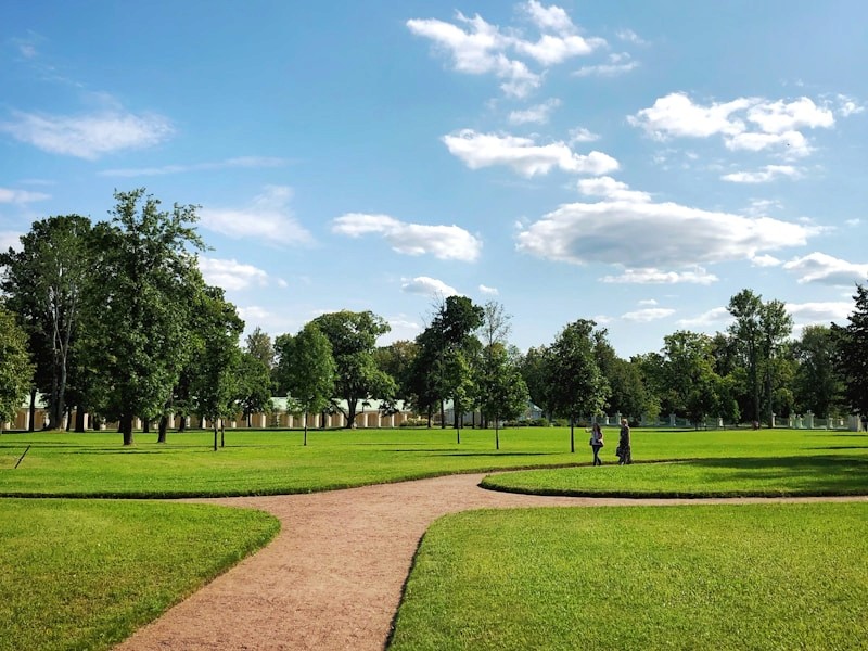 red train travelling near body of water