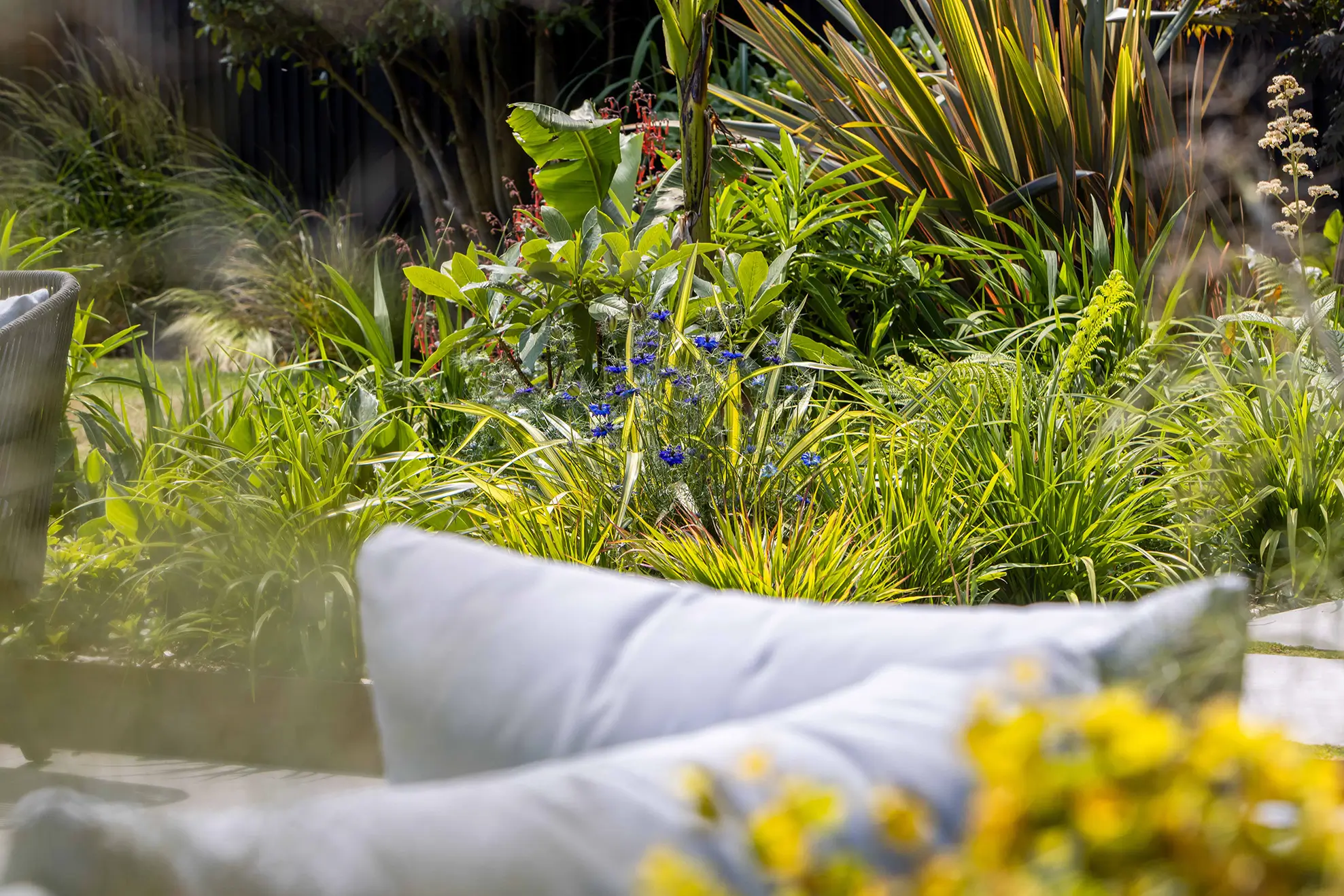 Lush garden with various green plants and yellow flowers, featuring a white cloth draped in the foreground.