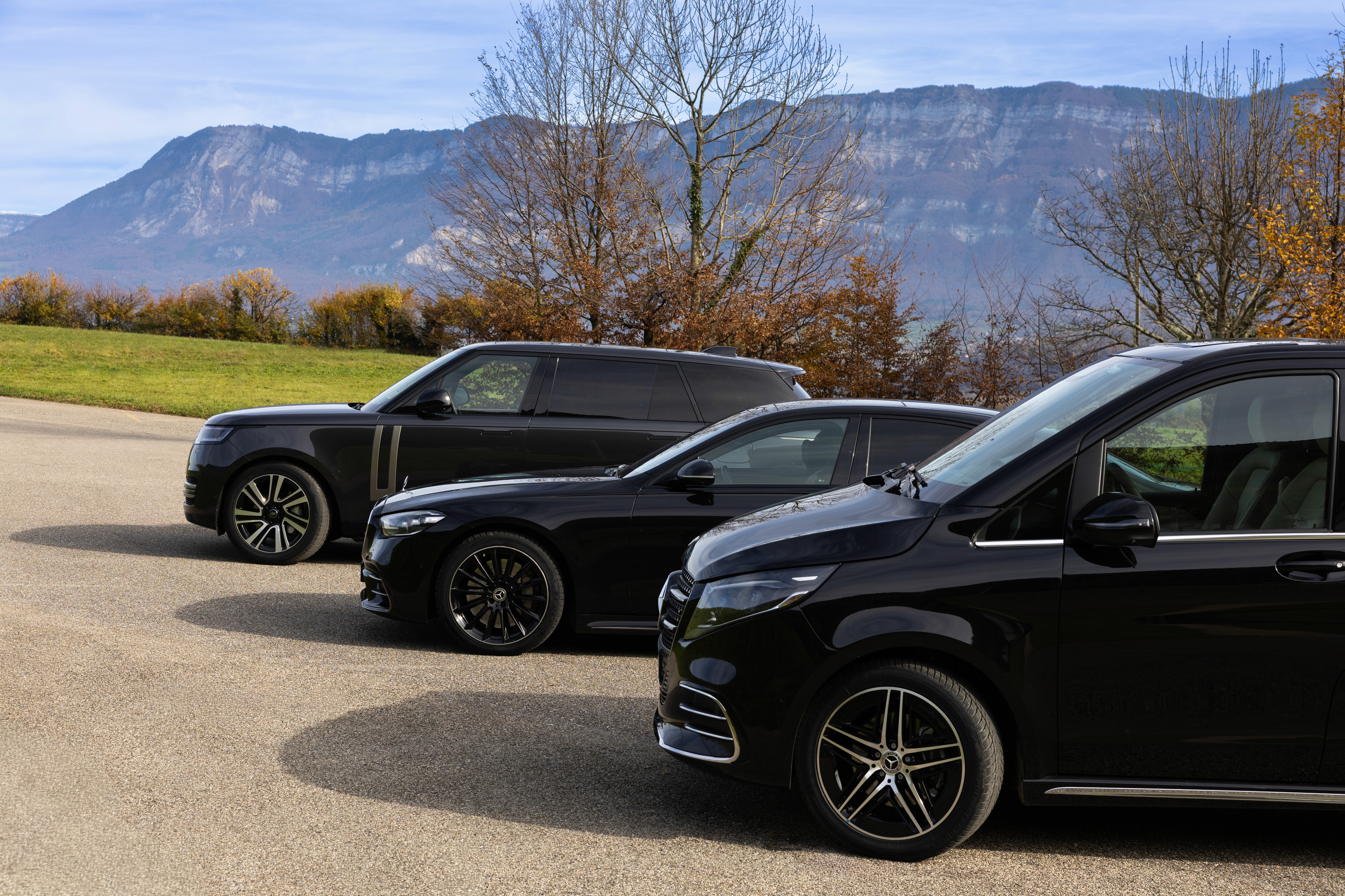 Véhicules avec leur chauffeur