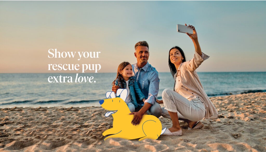 Pet Supermarket Work Sample