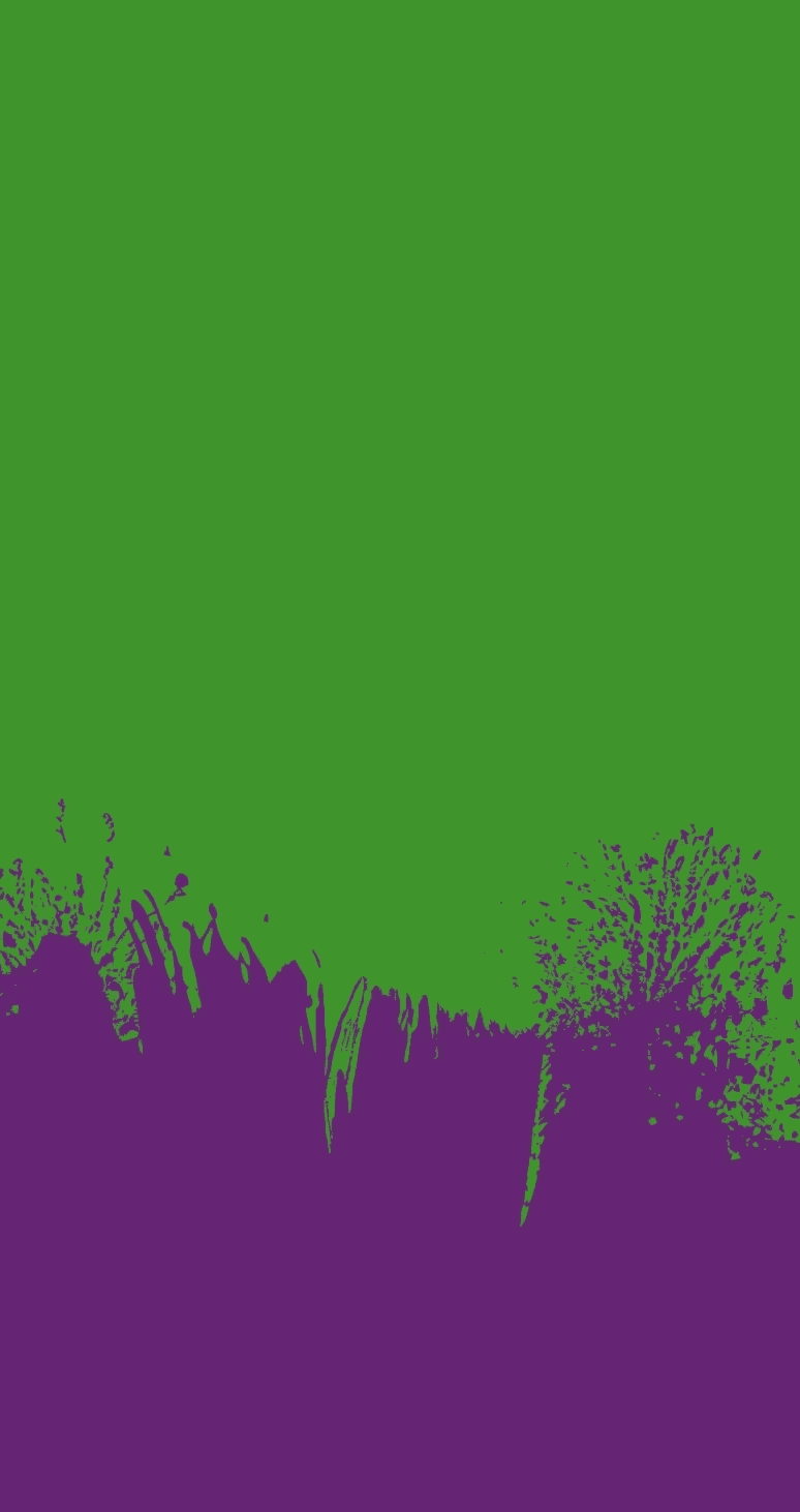 Explosion de l'encre violette sur la verte