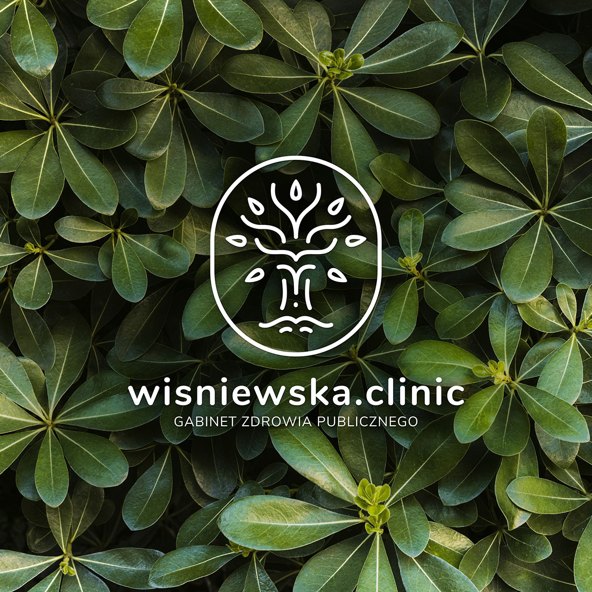 Projekt logo i spójnej identyfikacji wizualnej