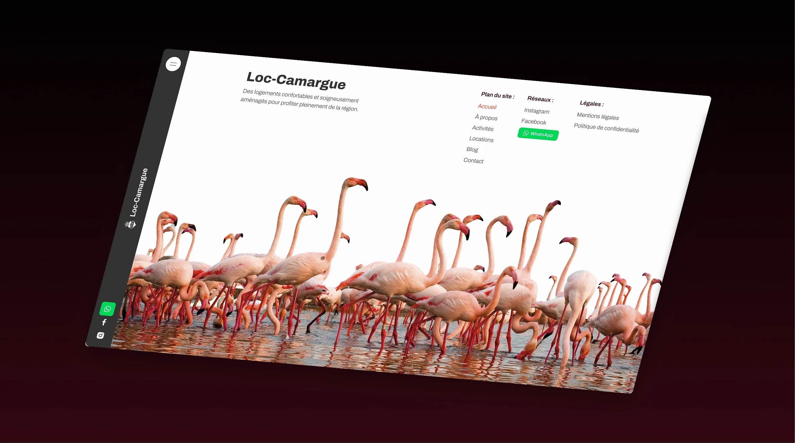 Footer du site illustré de flamants roses de Camargue