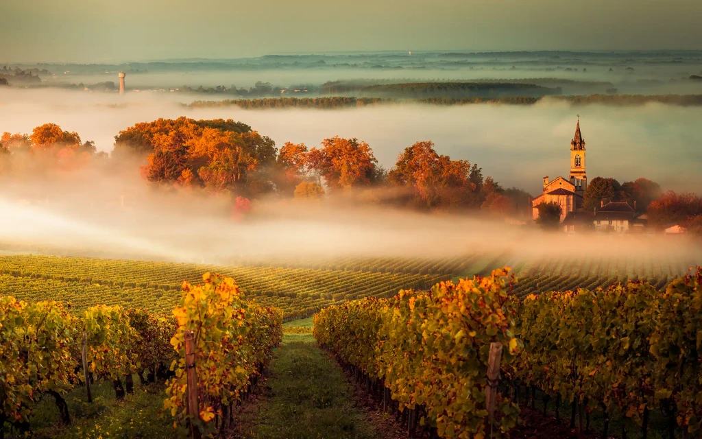 Sykkeltur i vinområdet Bordeaux i Frankrike | Expa Travel