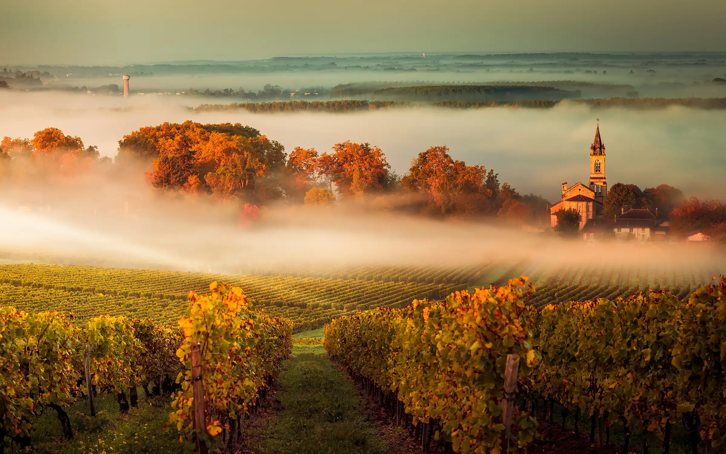 Sykkeltur i Bordeaux – vin, landsbyer og slott