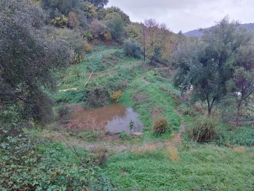 The finished dam with vegetated banks
