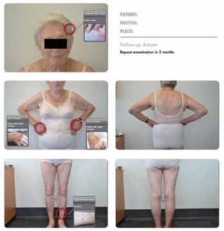 Figure 1: Skin report