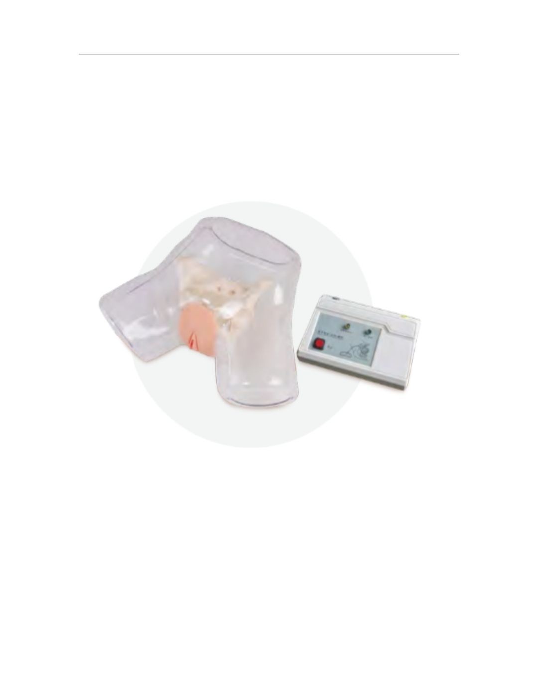 Electronic Transparent Female Catheterization Model