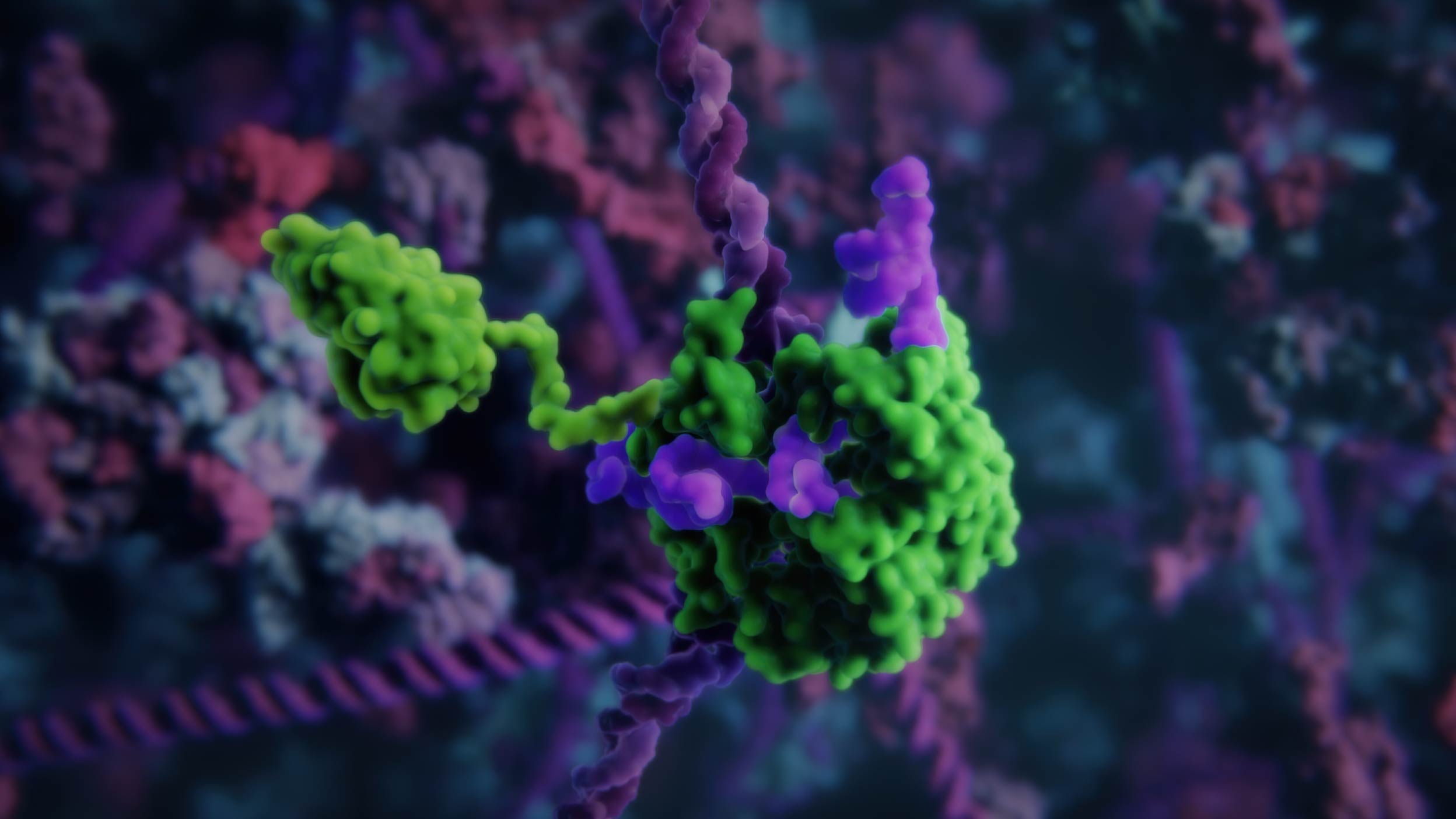 Cas9 fused with Krueppel-associated domain