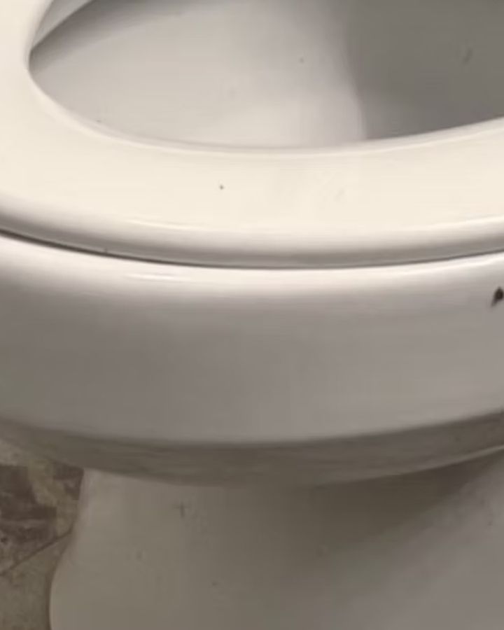 Toilet, before cleaning