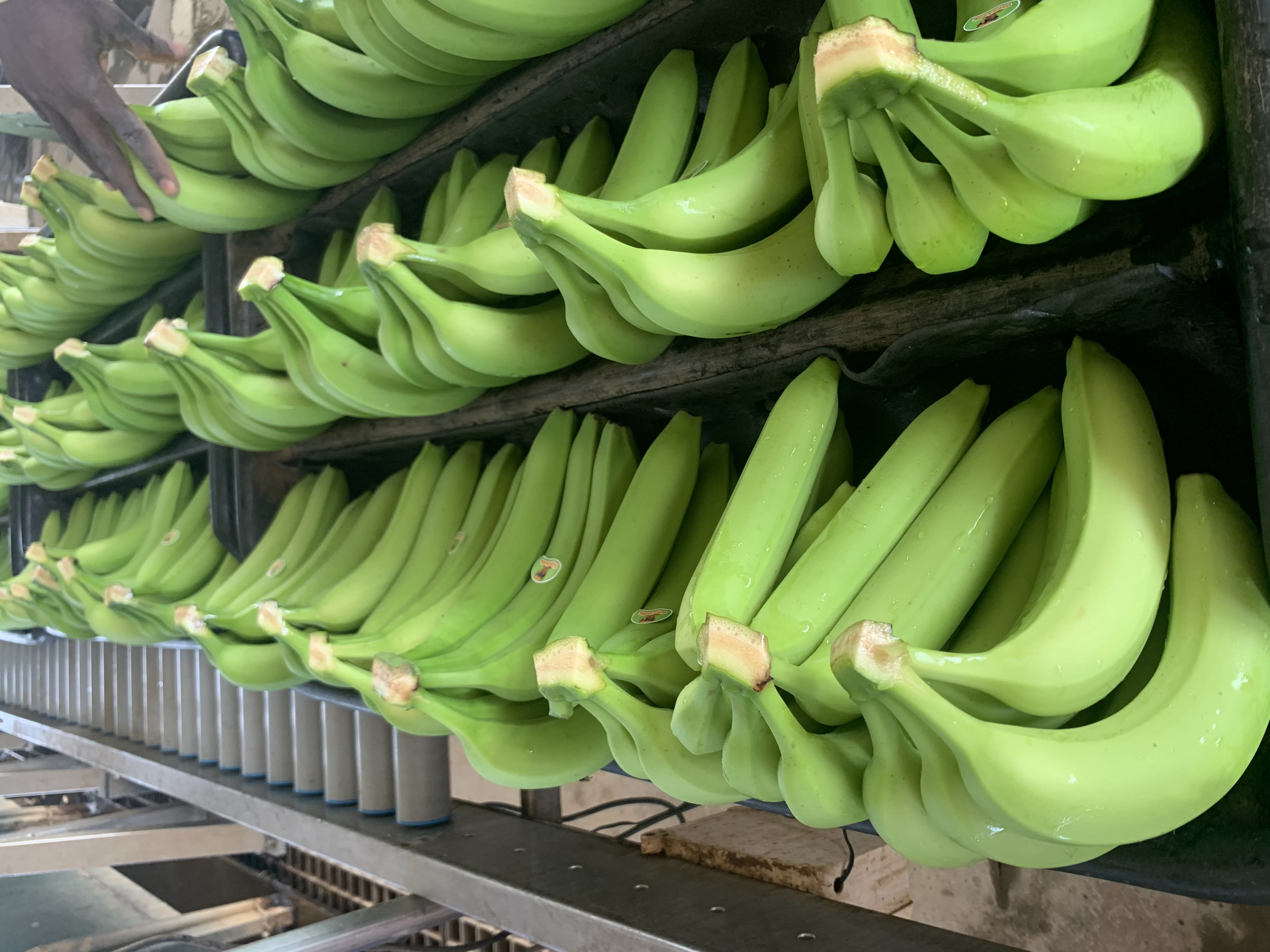 The image featured at the top of the about us page #2