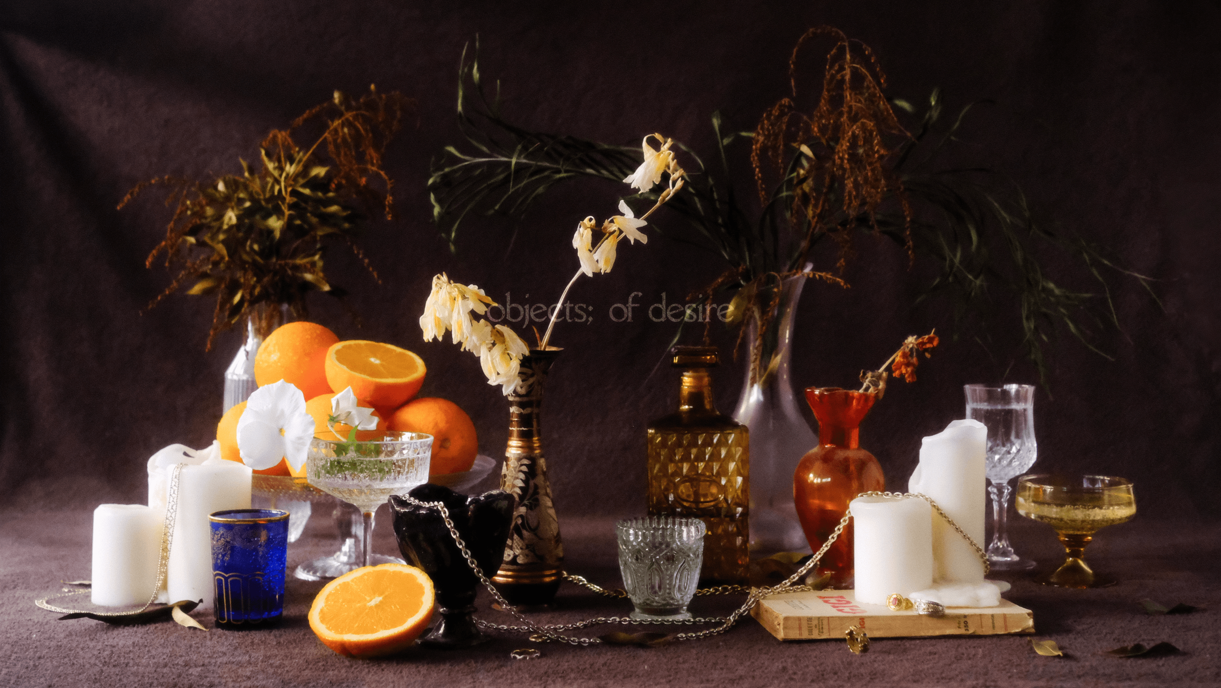 objects of desire selina donohoe photography for curated decorative objects brand