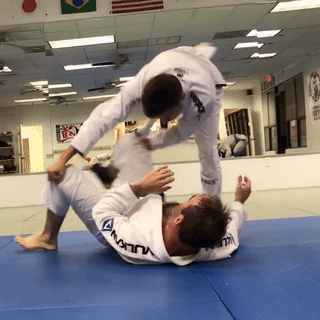 Brazilian Jiu-Jitsu
