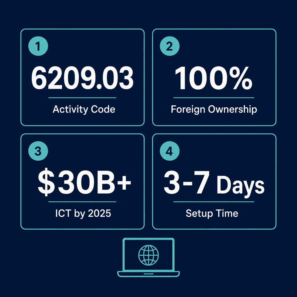 Infographic: Software Installation Business License in Dubai