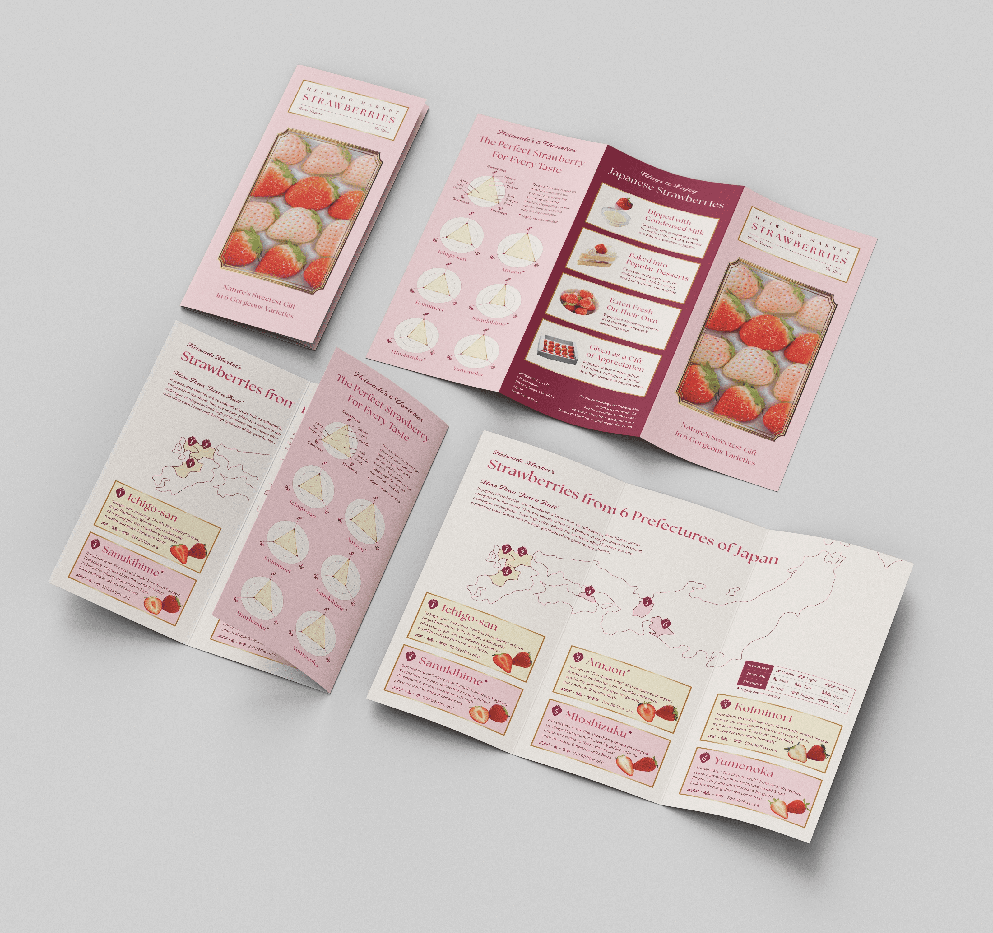 Brochure Mockup