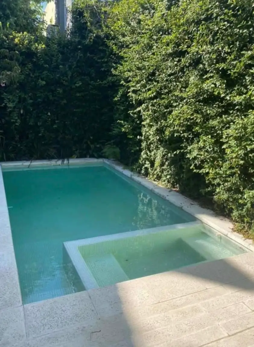 Piscina de hormigón con sector de hidromasaje y escalones amplios, destacada por un imponente muro verde de enredaderas naturales de fondo.