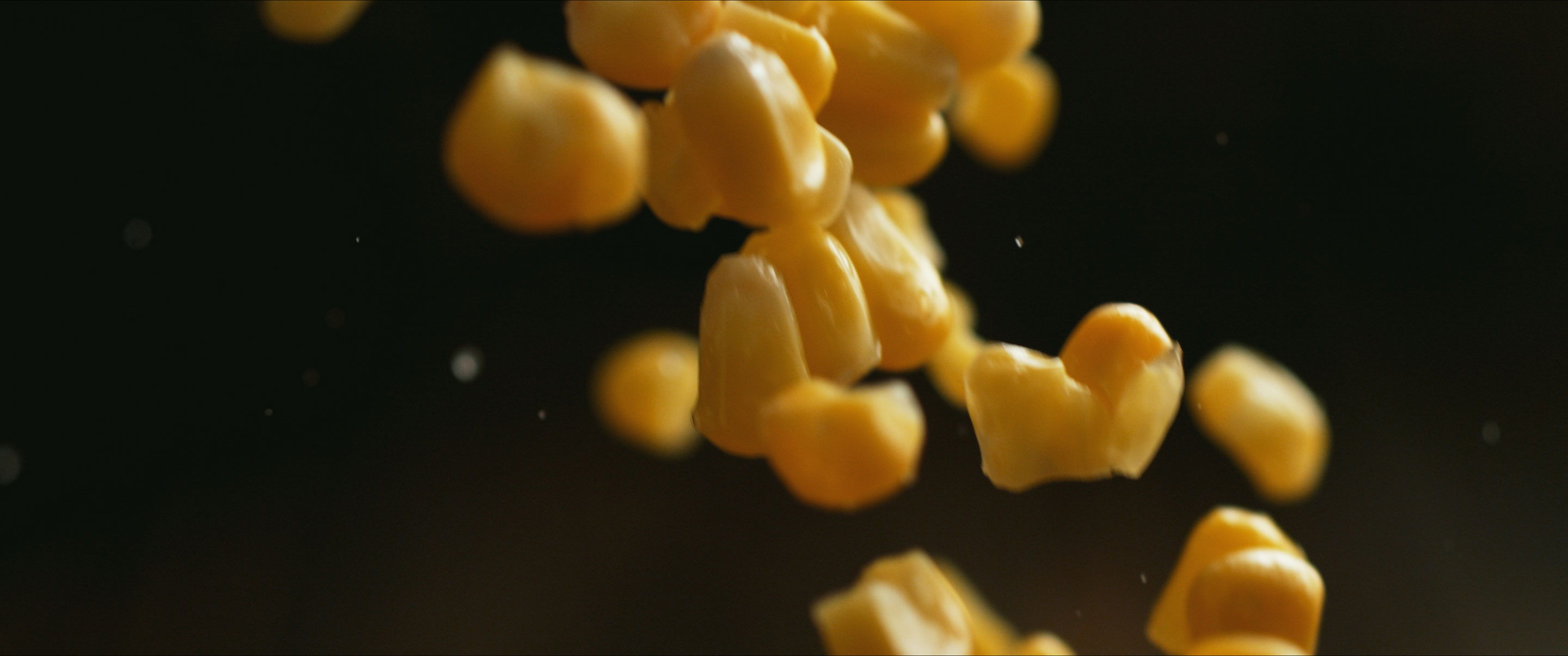 slow-motion of corn