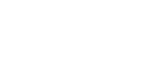Skiset Logo