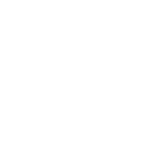 Logo Design Project for a Client