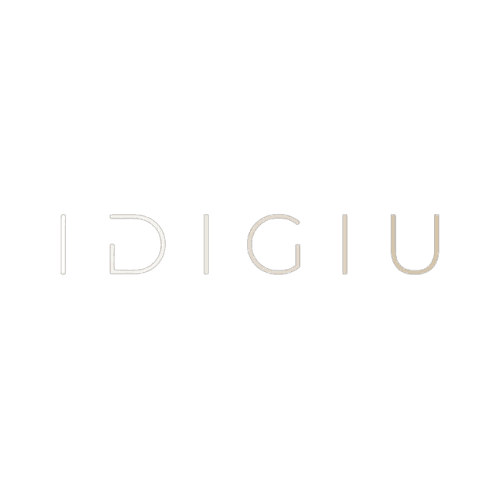 IdigiU Logo | Web Design Agency In Dubai