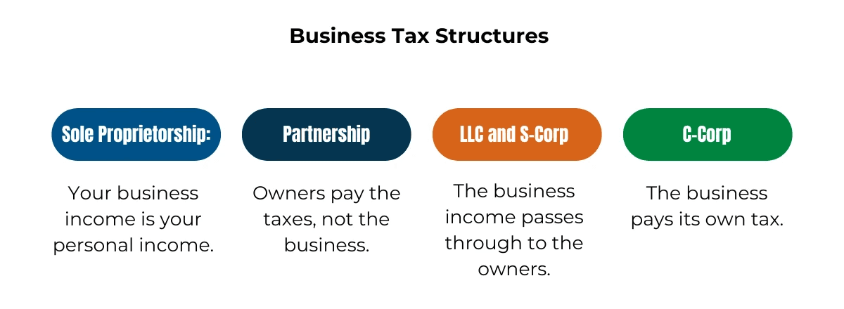 Business tax structure