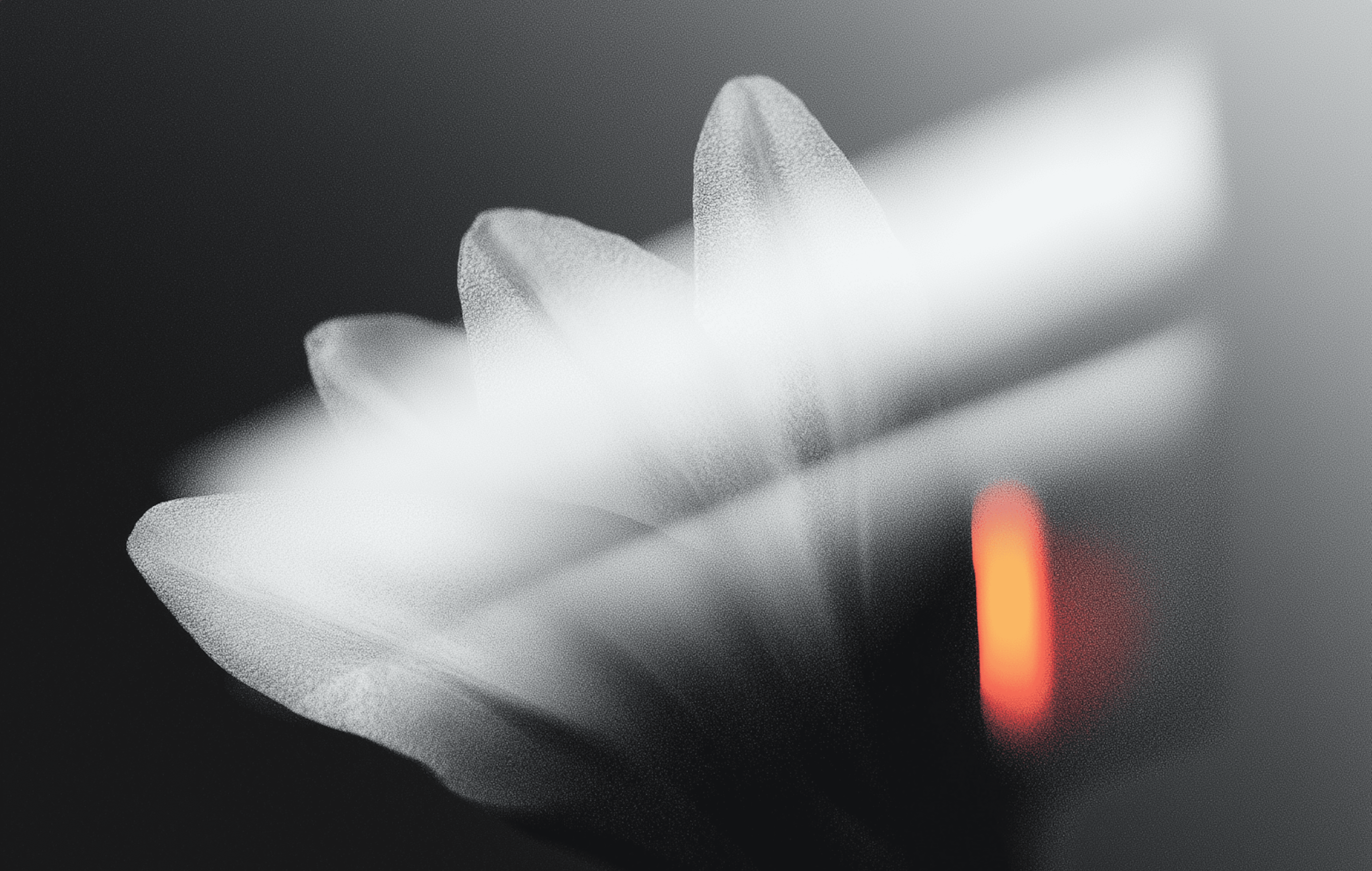 Minimalist abstract flower petal texture with light bokeh.