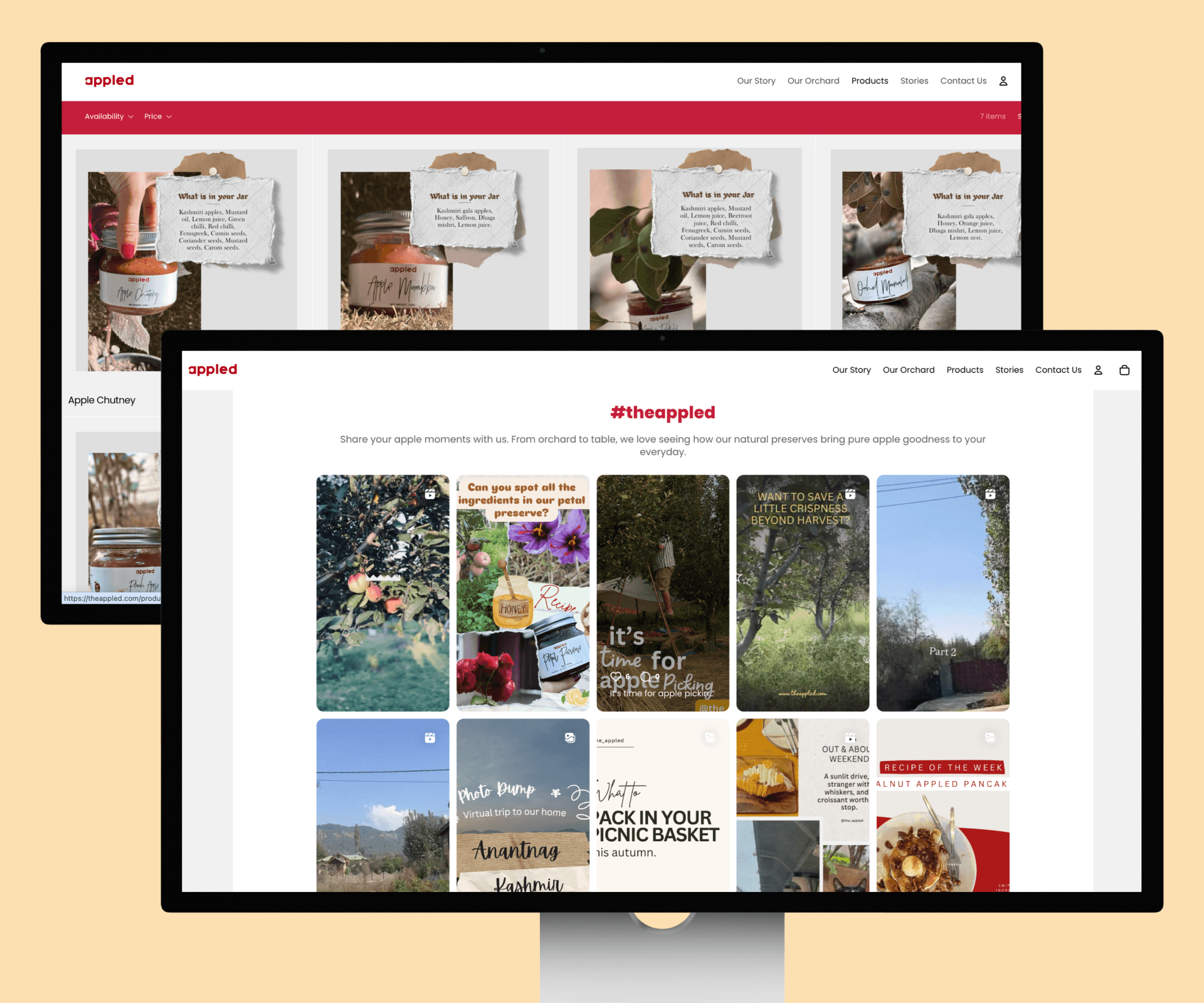 Project Content Image - 3