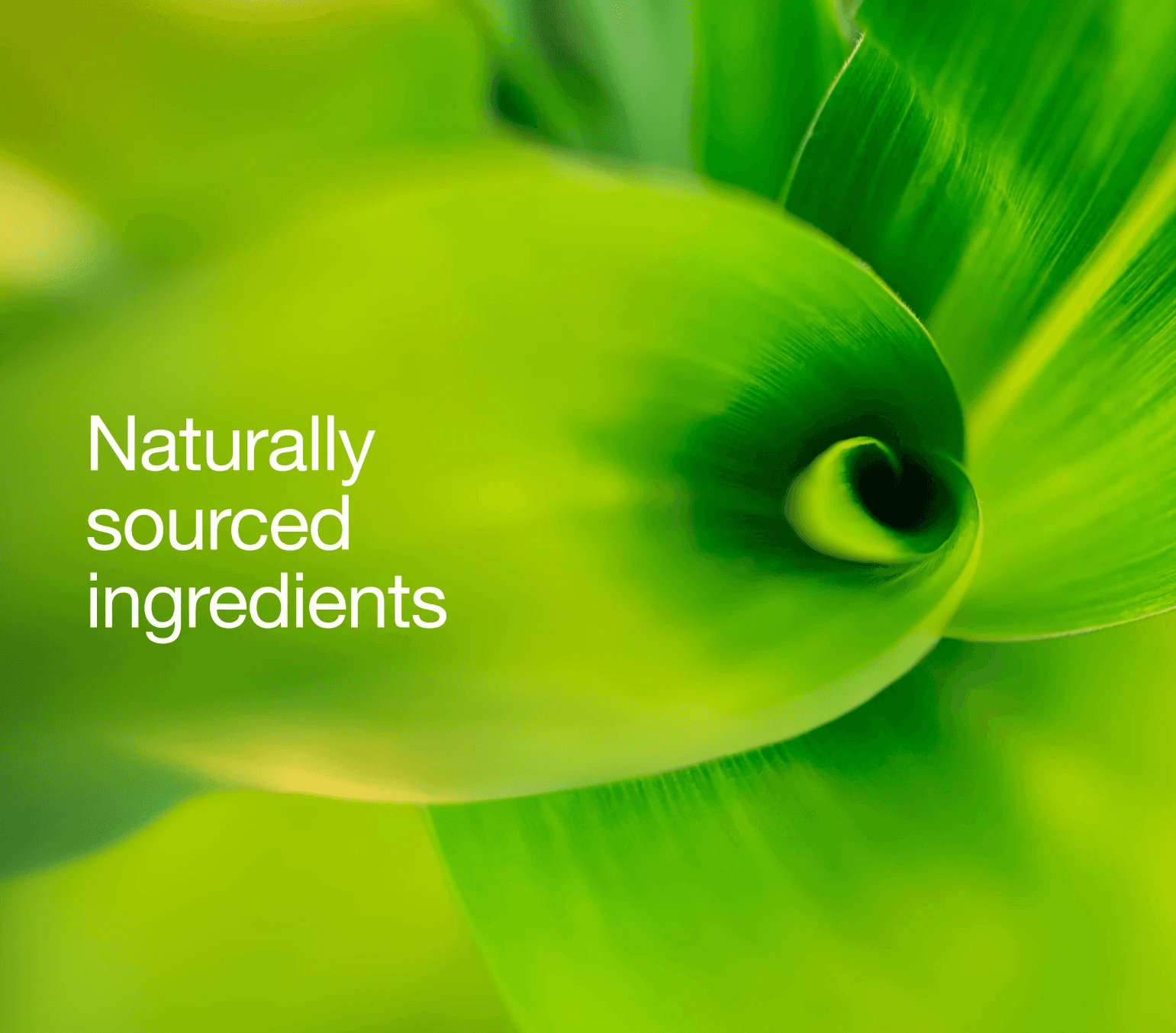 Man working on macbook in blue cafe