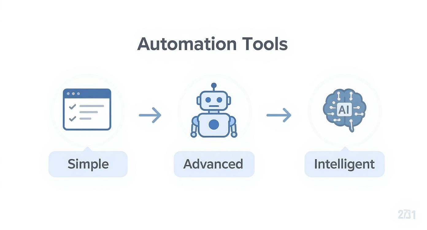 Infographic about automate data entry
