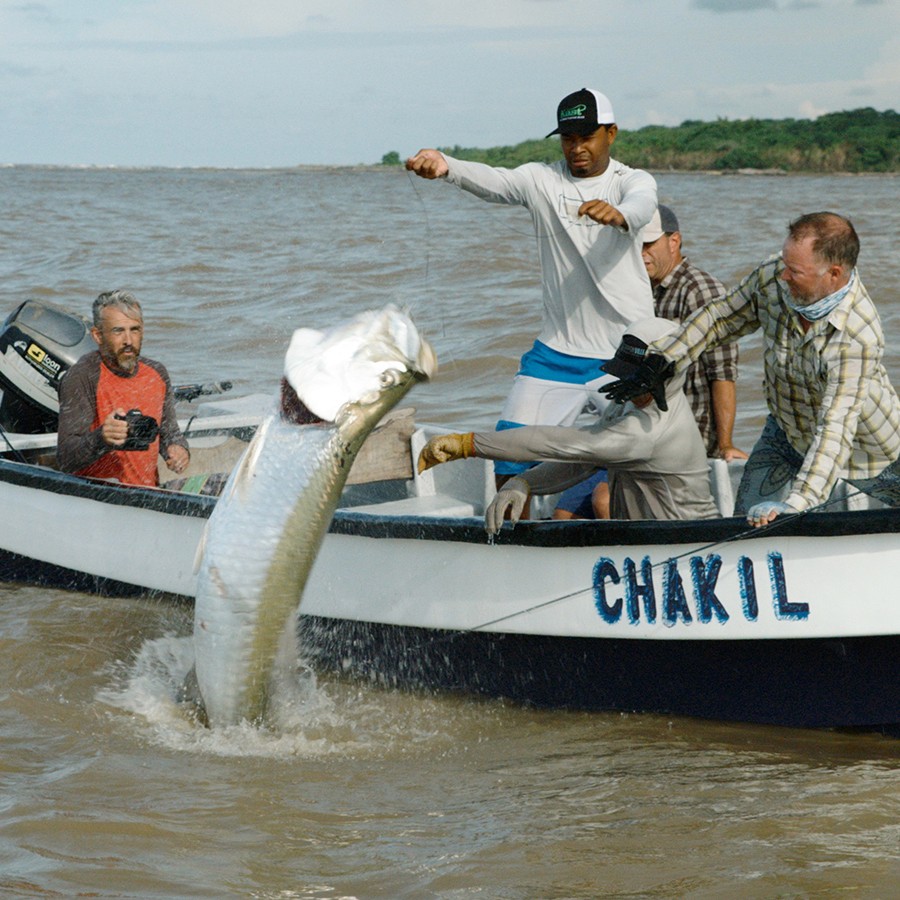 Person, holding a white rose behind his back with one arm on a light blue background