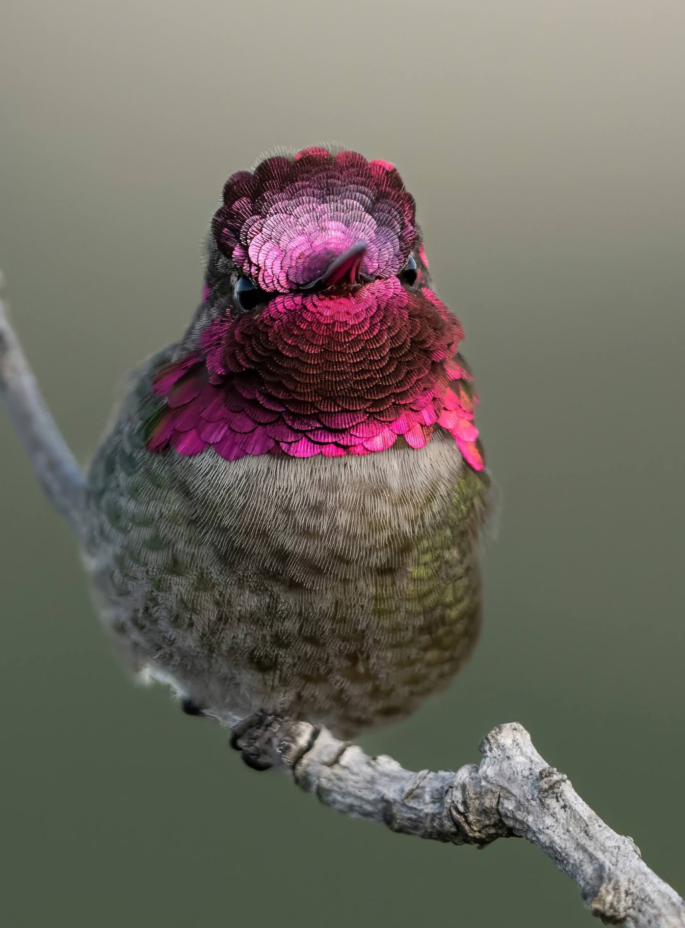 Photo of Irene in a neon scene