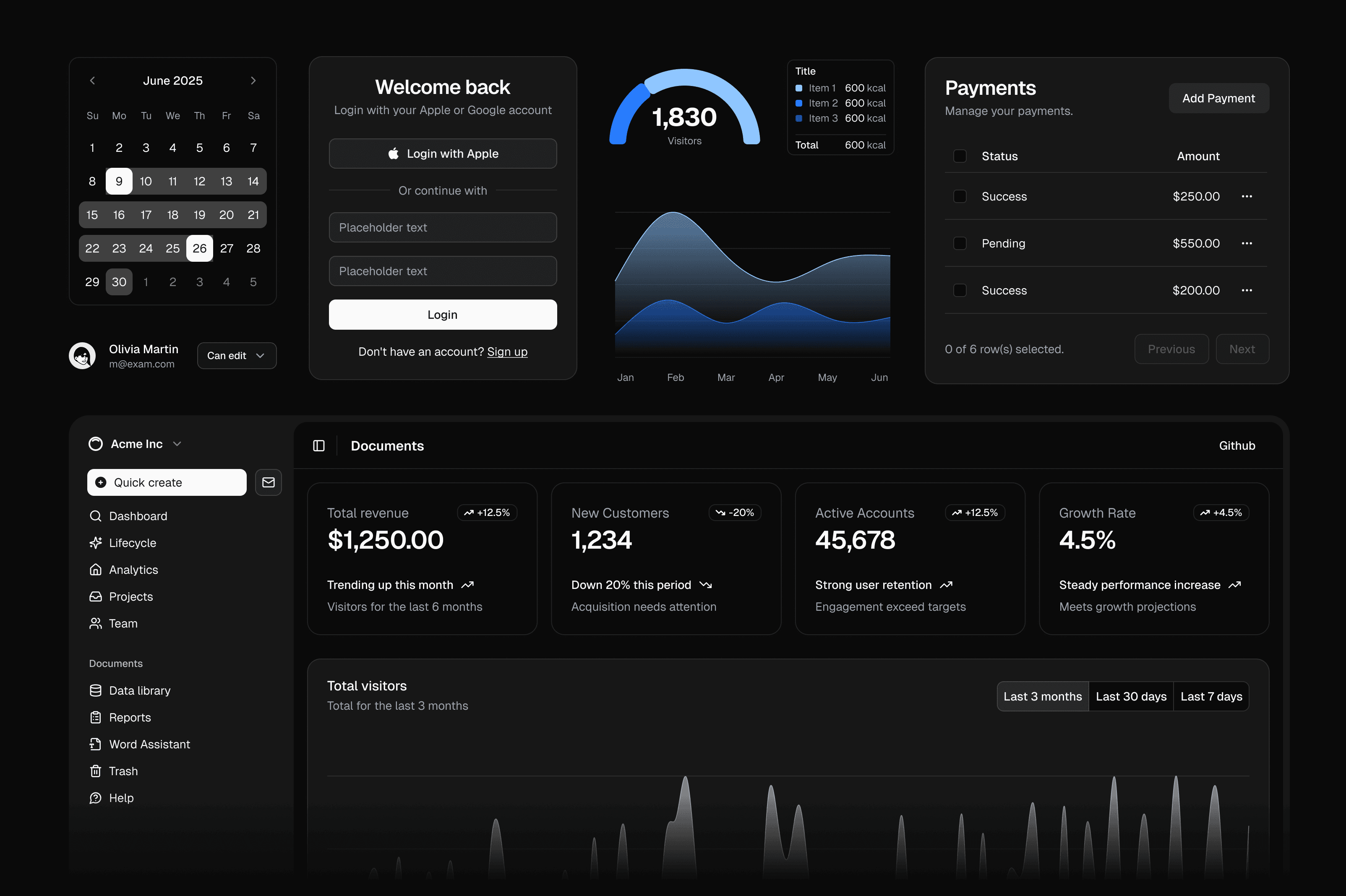 Dark-themed dashboard showing June 2025 calendar, login panel, visitor stats with a line graph, payment details, and revenue analytics. Data-driven and professional