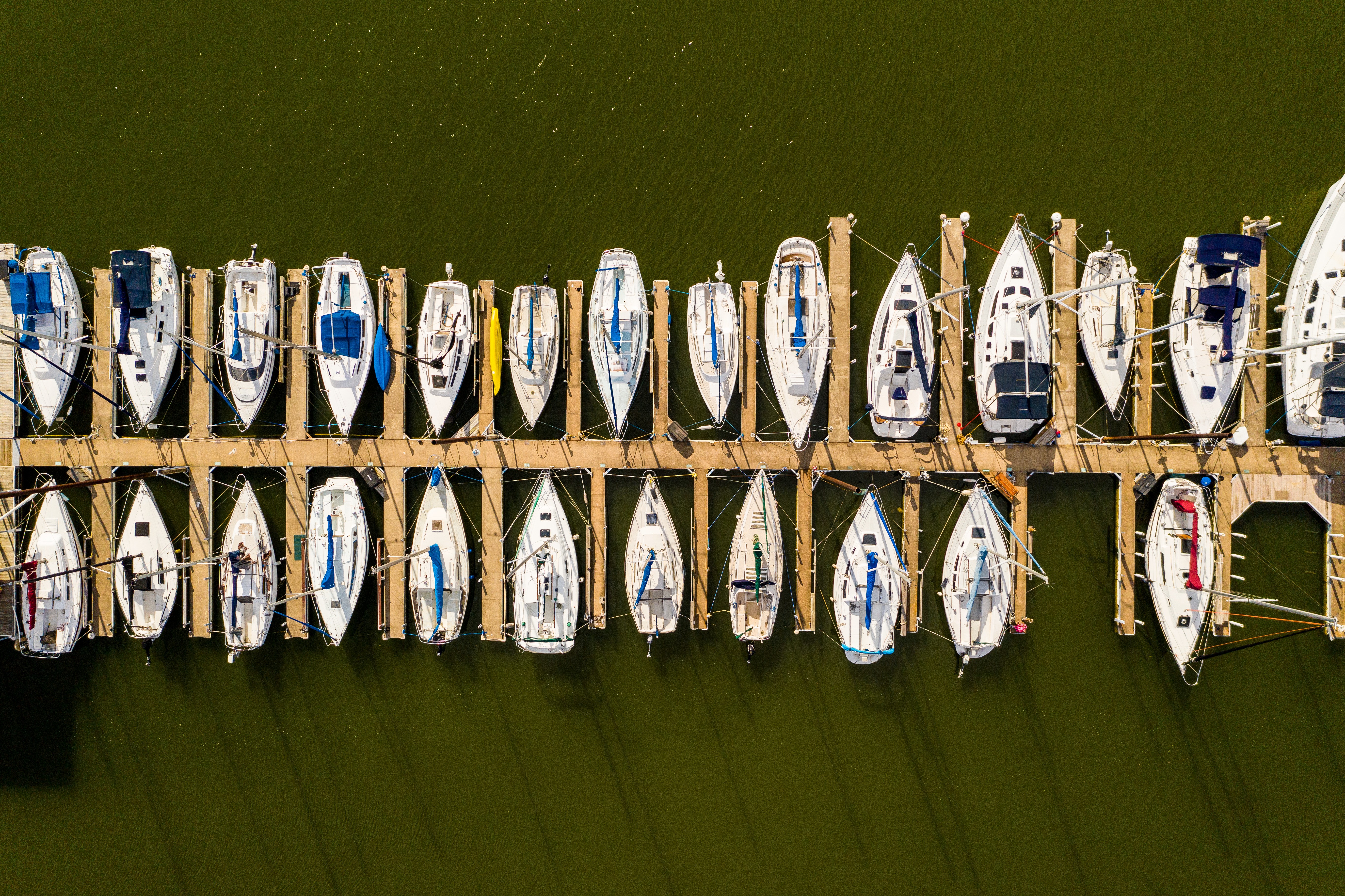 Aerial view of a marina showcasing a row of docked sailboats aligned neatly along wooden piers, set against the backdrop of calm, greenish water.