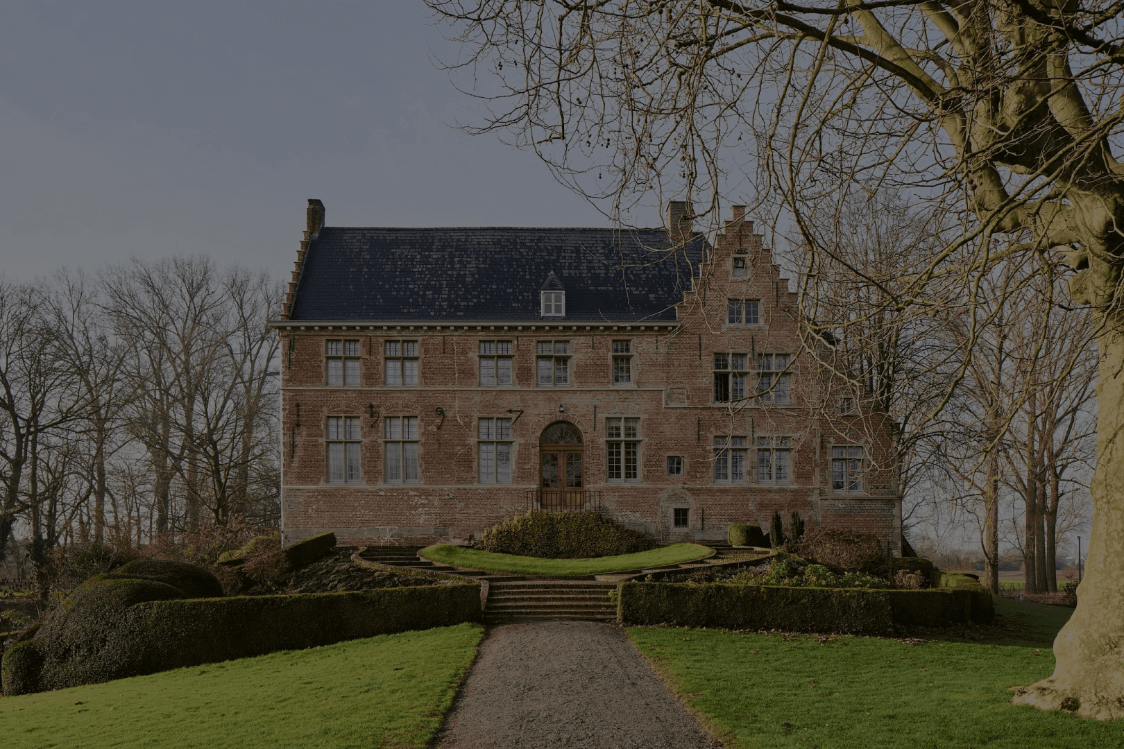 Dynamic picture of a cyclist riding downhill