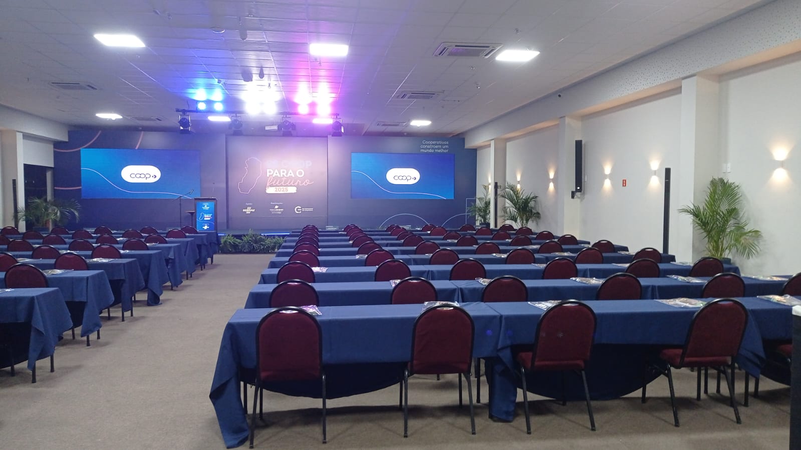 selective focus photography of black and brown leather backpack on rock