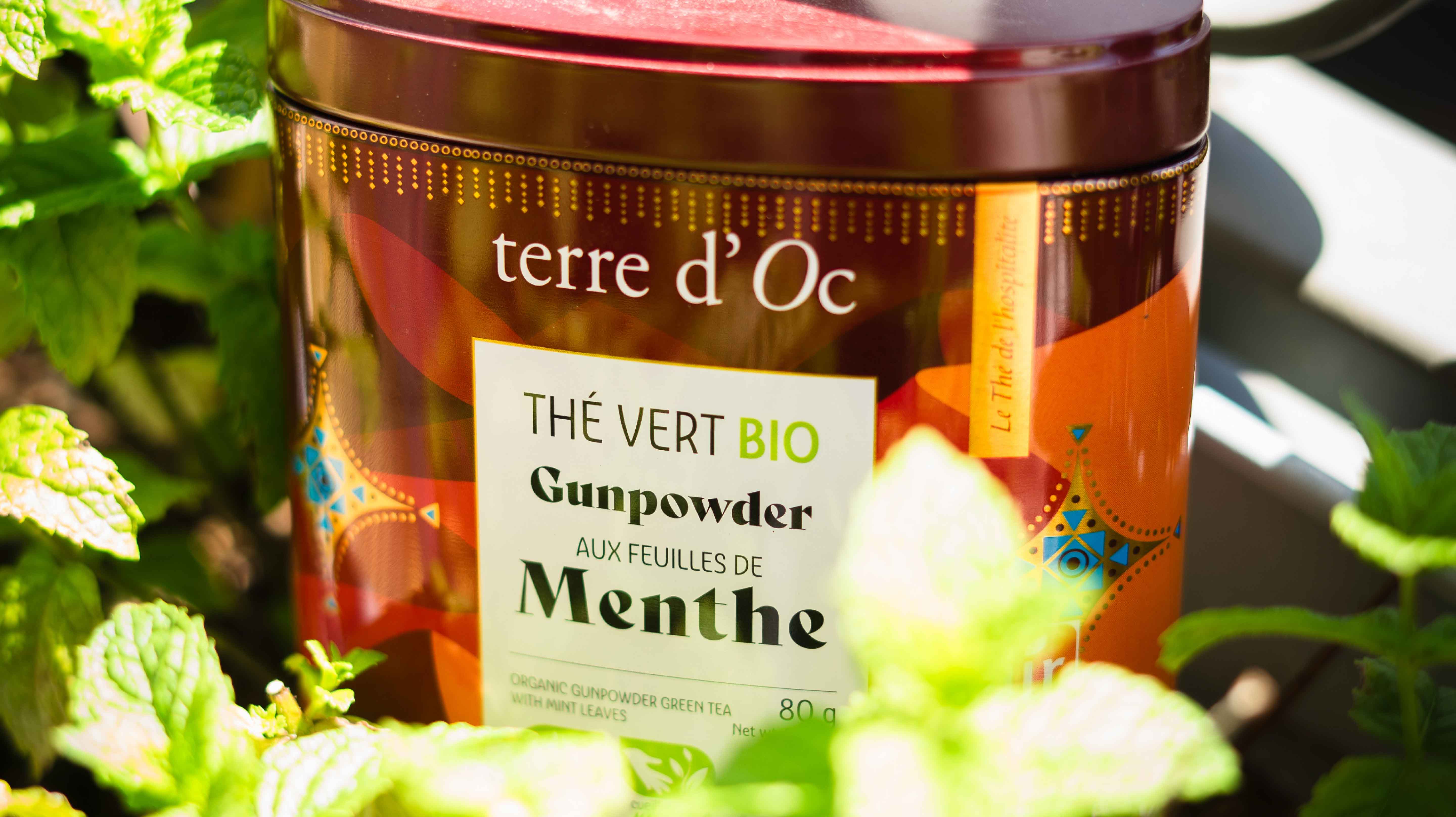 Photo d'une boîte de thé vert bio Terre d'Oc menthe, dans de la menthe naturelle