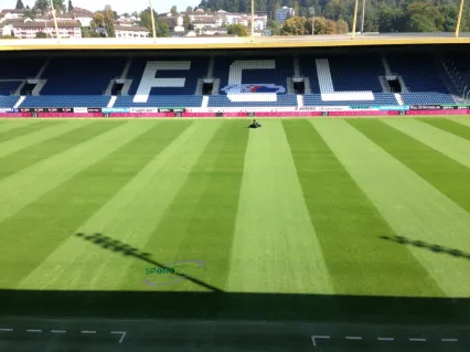 Platz 7: unregelmässiger Rasenschnitt