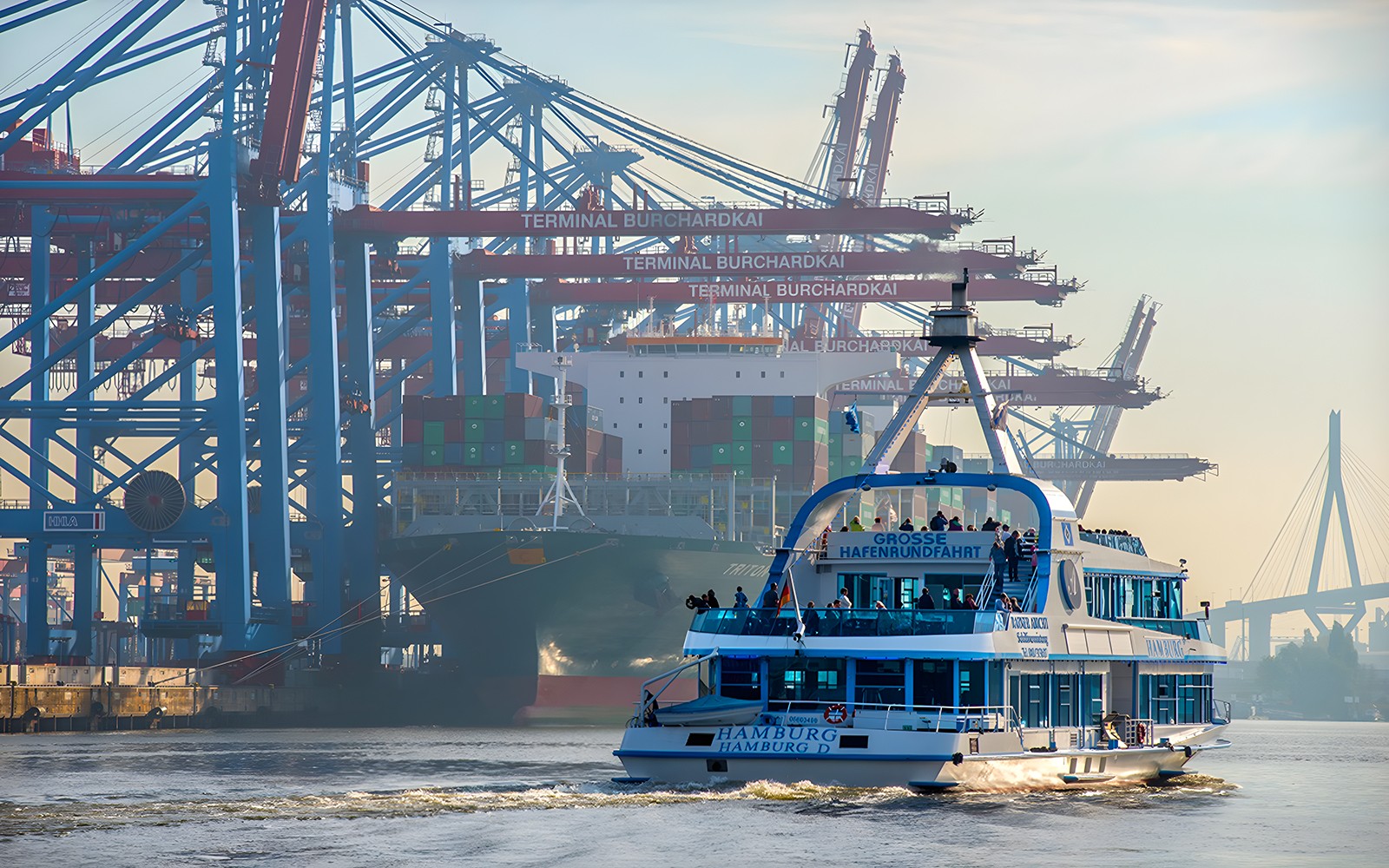 Hamburg harbor cruise ship passing container terminal cranes.