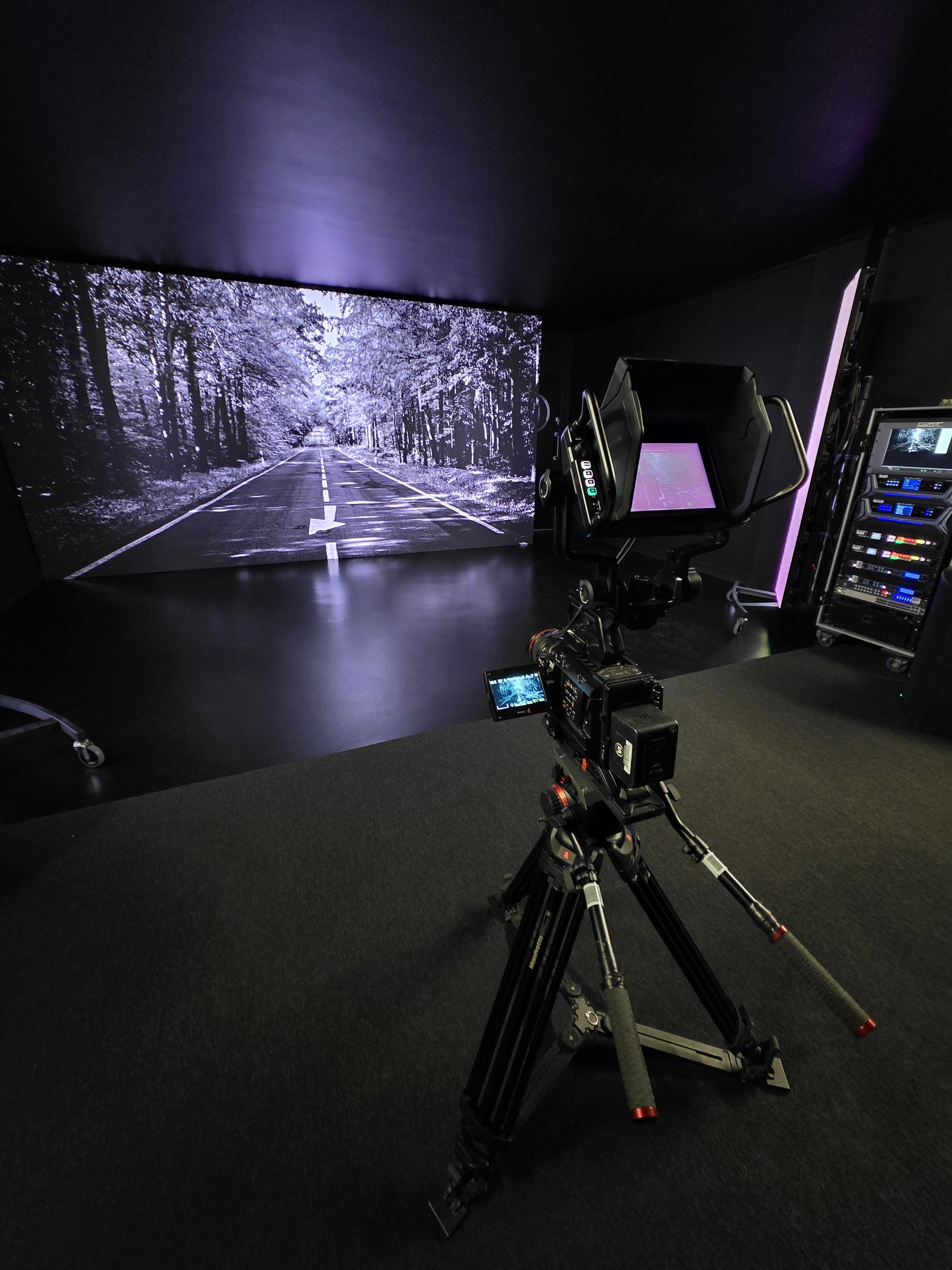 grayscale photo of woman in white and black stripe shirt
