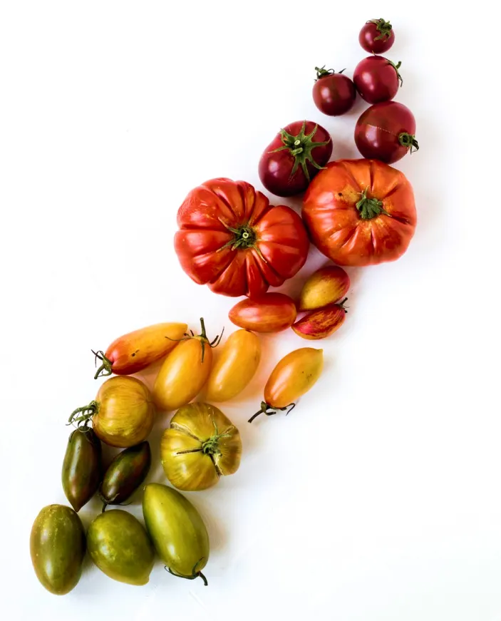 Rainbow of plant-based food
