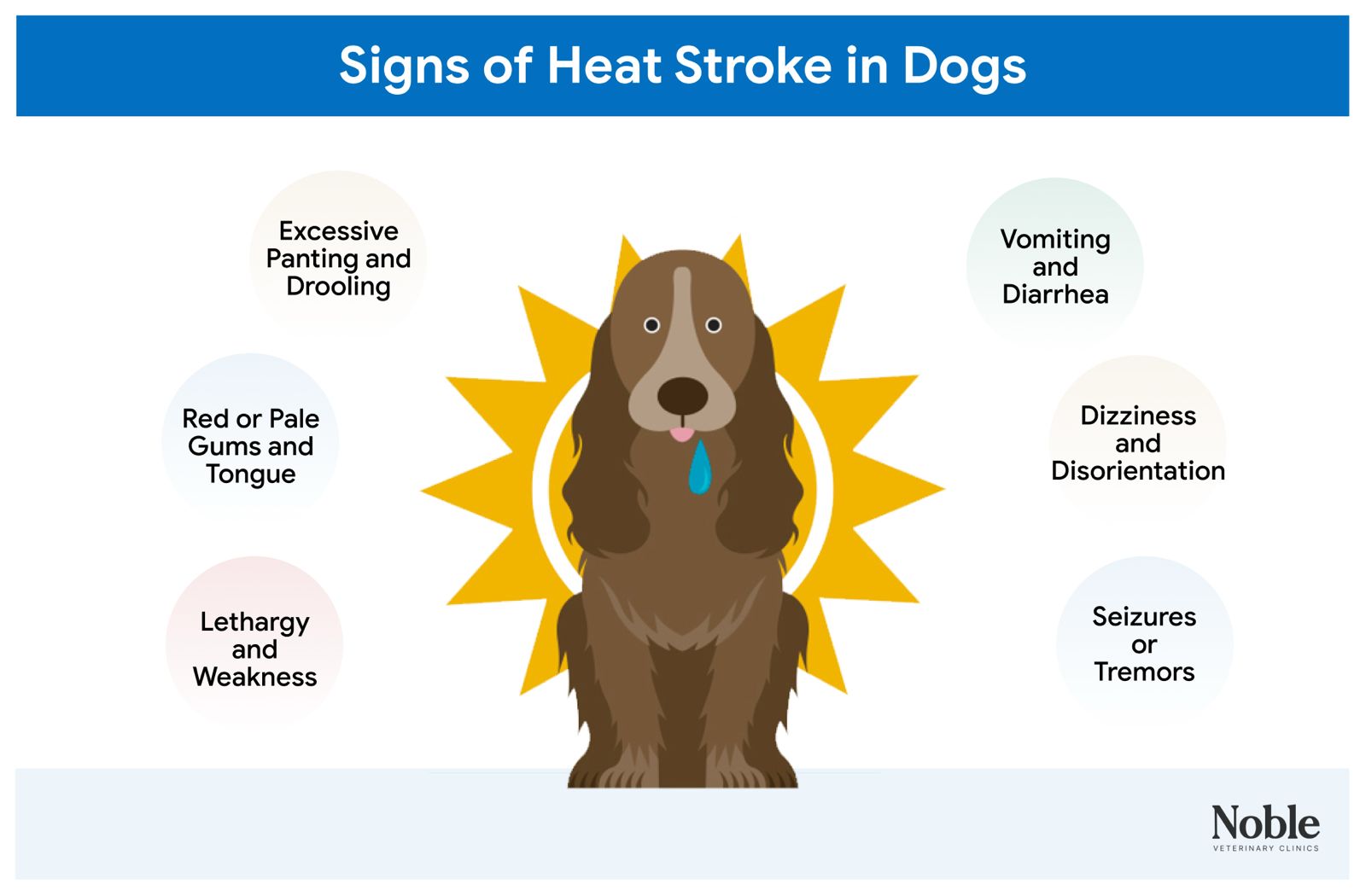 An infographic showing the signs of heat stroke in dogs.