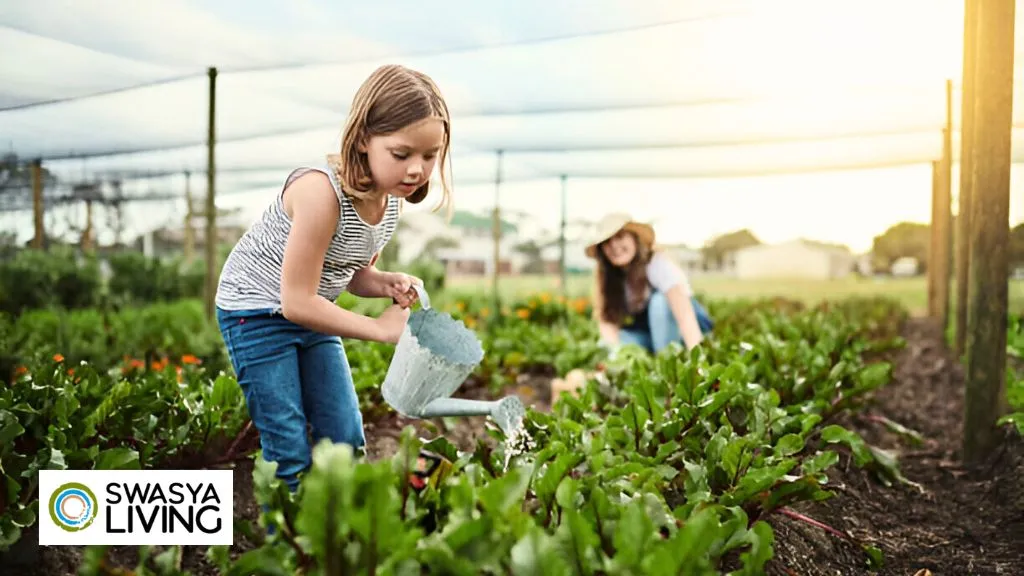 How to Live Eco-Friendly Every Day