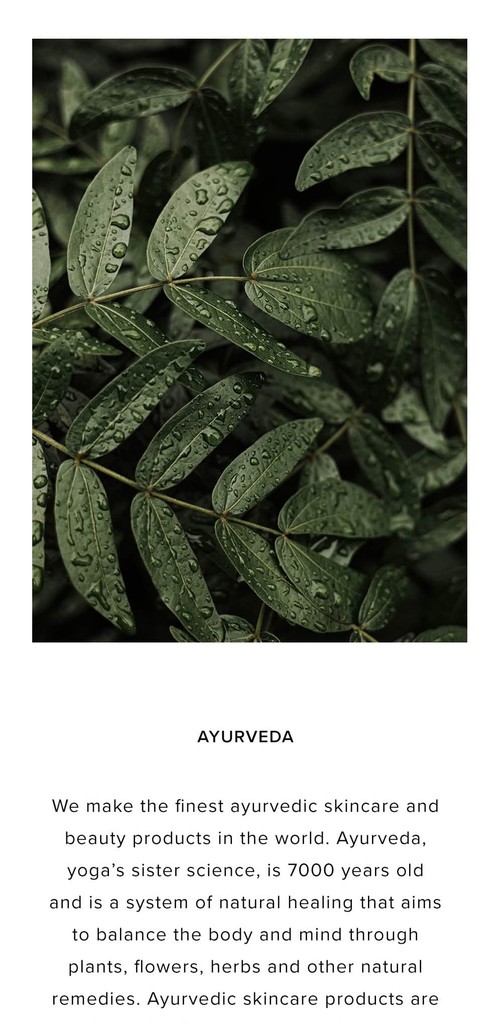 Close-up of natural Ayurvedic leaves with water droplets for Soma Ayurvedic products