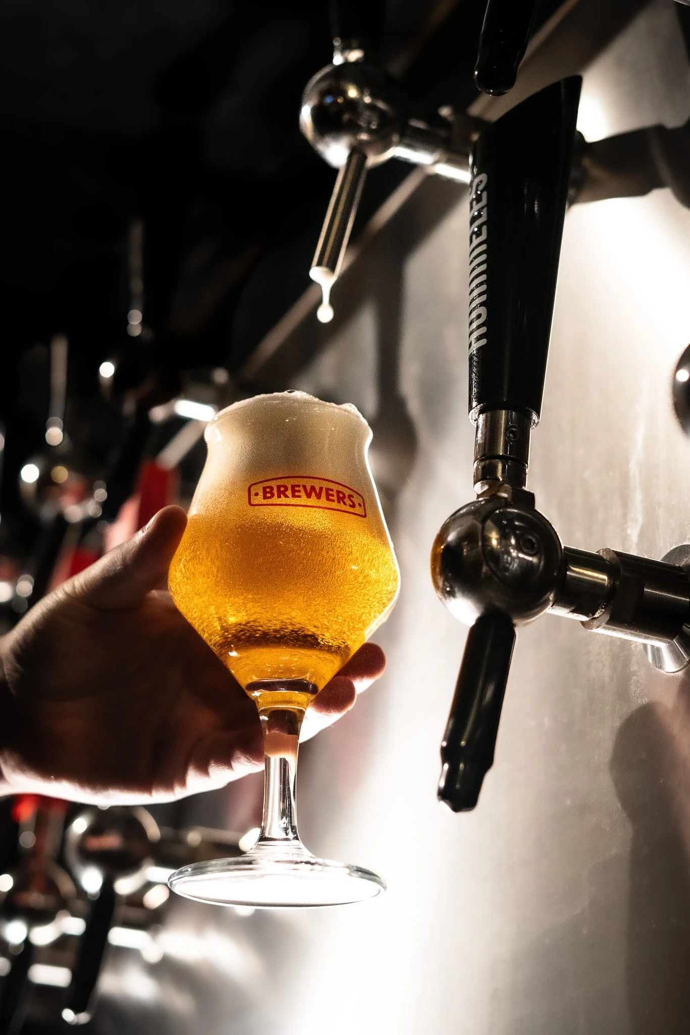proeflokaal Brewers tapwand