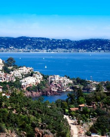 Landscaper and Landscaping gardening service template framer by real mehedi